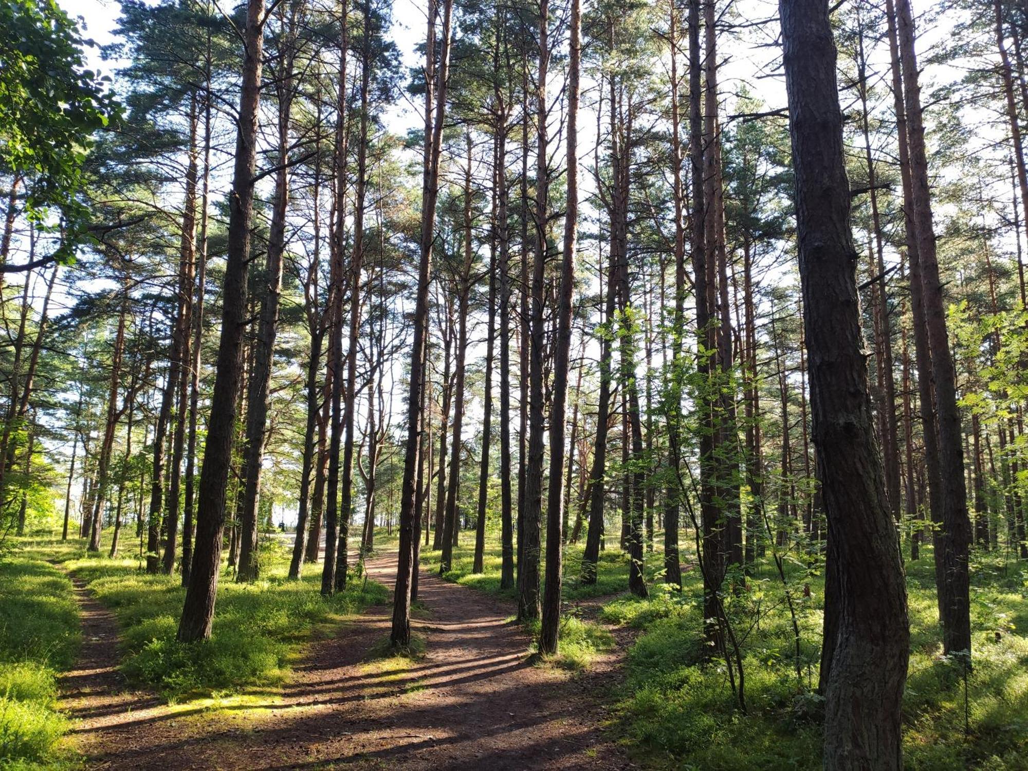 Flip-Flops Apartment Jurmala With Free Parking Екстер'єр фото